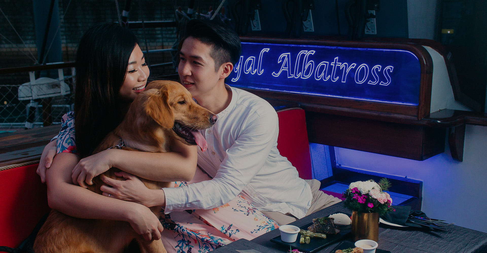 Dog Cruise aboard the Royal Albatross